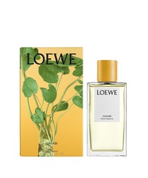 LOEWE ホームフレグランス Honey Sukcle LOEWE PERFUMES ルームスプレー - ハニーサックル 150ml | NET-A