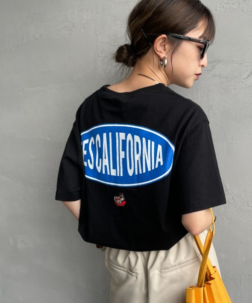tシャツ 「THE ENDLESS SUMMER/エンドレスサマー」 別注 TES CALIFORNIA バックプリントTシャツ レディース メンズ The Endless Summer tシャツ 「THE ENDLESS SUMMER/エンドレス