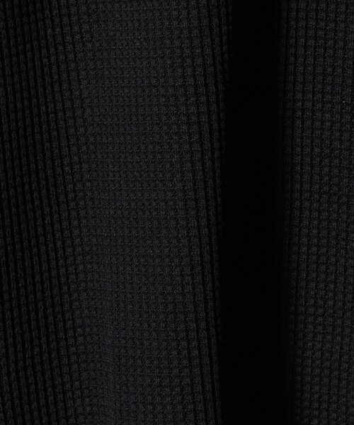 A DAY IN THE LIFE UNITED ARROWS(アデイインザライフユナイテッドアローズ)の「USAコットン 裏起毛 ワッフル カットソー<A DAY IN THE LIFE>(Tシャツ/カットソー・メンズ・ブラック/ライトグレー/ホワイト/ダークグレー・M/S/L)」の13枚目の写真