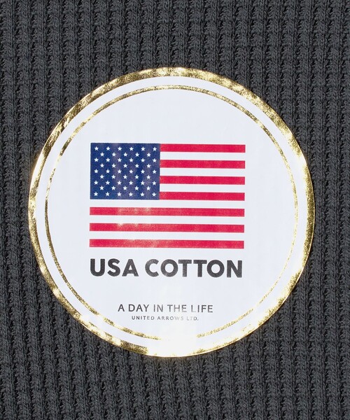 A DAY IN THE LIFE UNITED ARROWS(アデイインザライフユナイテッドアローズ)の「USAコットン 裏起毛 ワッフル カットソー<A DAY IN THE LIFE>(Tシャツ/カットソー・メンズ・ブラック/ライトグレー/ホワイト/ダークグレー・M/S/L)」の8枚目の写真