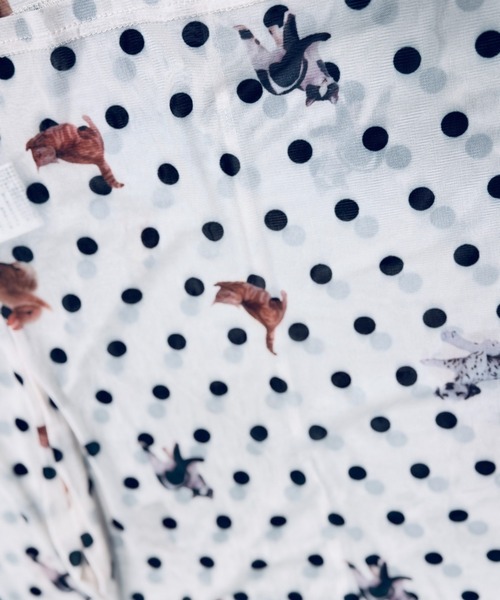 Y2K SYNAPSE FACTORY（ワイツーケー シナプスファクトリー）の「【ドット】シアーロングTシャツ（Tシャツ/カットソー・レディース・ホワイト/ブラック・FREE）」の9枚目の写真