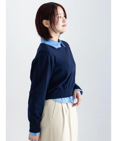 Te chichi(テチチ)の「コンパクトクルーネックニット【AOYAMA FASHION ASSOCIATION × Té chichi】(ニット/セーター・レディース・ネイビー/グレー・F)」の8枚目の写真