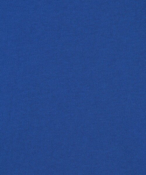 JAMES PERSE(ジェームスパース)の「コットンジャージー ラウンジTシャツ MLJ3311(Tシャツ/カットソー・メンズ・オレンジ/ブルー/ブラウン/ライトグレー・1)」の13枚目の写真