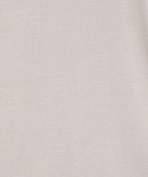 JAMES PERSE(ジェームスパース)の「コットンジャージー ラウンジTシャツ MLJ3311(Tシャツ/カットソー・メンズ・オレンジ/ブルー/ブラウン/ライトグレー・1)」の14枚目の写真