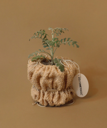 WELCOME TO CCC（ウェルカムトゥーシーシーシー）の「POUPOUPOT カフェラテ (PUPU Mサイズ) 植木鉢（フラワーベース）」
