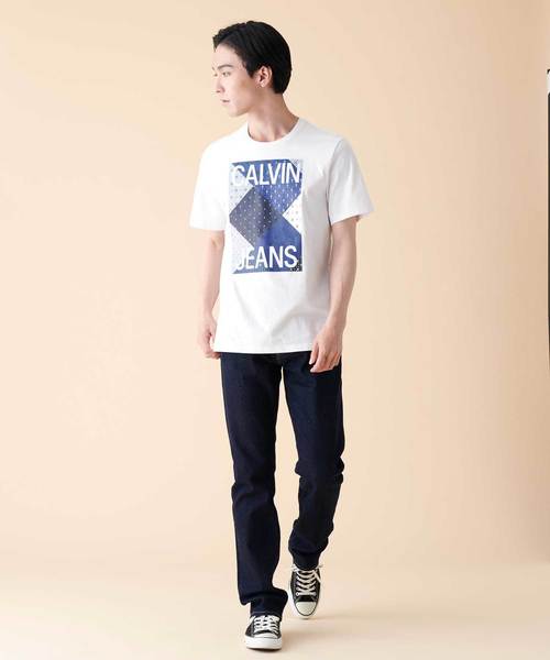 Calvin Klein Jeans(カルヴァンクラインジーンズ)の「パッチワーク プリント Tシャツ(Tシャツ/カットソー・メンズ・ホワイト・S/M/L/XL)」の6枚目の写真