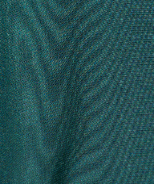 【セール】【WEB限定カラーあり】【前後着用可】2wayフリルカラーブラウス（シャツ/ブラウス）｜NOMINE（ノミネ）