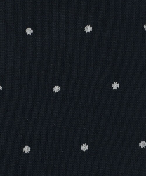 green label relaxing（グリーンレーベルリラクシング）の「シルケット ドット ドレスソックス（ソックス/靴下・メンズ・ダークグレー/ネイビー/ダークブラウン/ブラック・FREE）」の6枚目の写真