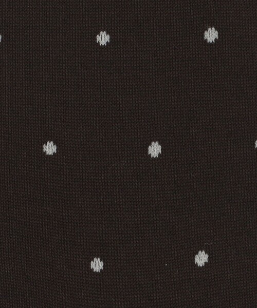 green label relaxing（グリーンレーベルリラクシング）の「シルケット ドット ドレスソックス（ソックス/靴下・メンズ・ダークグレー/ネイビー/ダークブラウン/ブラック・FREE）」の10枚目の写真