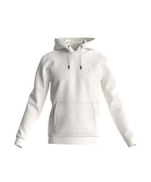 Aldwin Mini Triangle Logo Hooded Sweatshirt パーカー