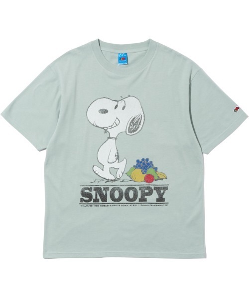 FRUIT OF THE LOOM(フルーツオブザルーム)の「【FRUIT OF THE LOOM/フルーツオブザルーム】FTL×スヌーピー 表ピーチ起毛T-a(Tシャツ/カットソー・メンズ・サックスブルー/アイボリー・L/M)」の1枚目の写真