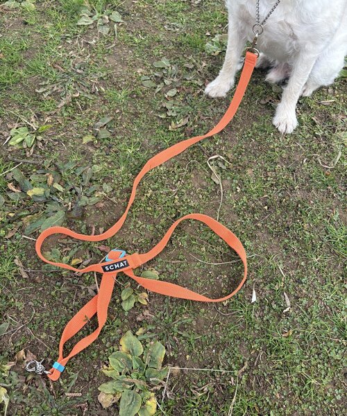 【SCHAT スハット】SWITTING COLOR LEASH-LONG（リード/ハーネス/首輪）｜BIRTHDAY BAR（バースデイバー）