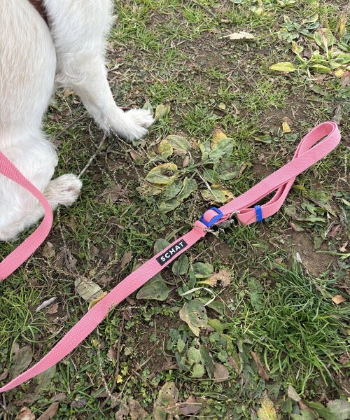 【SCHAT スハット】SWITTING COLOR LEASH-LONG（リード/ハーネス/首輪）｜BIRTHDAY BAR（バースデイバー）