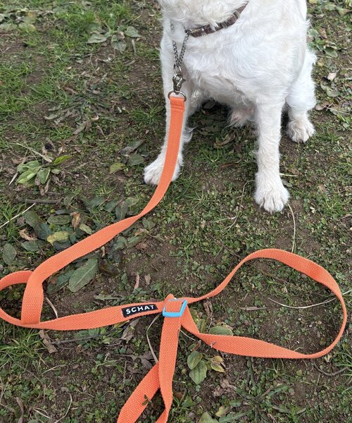 【SCHAT スハット】SWITTING COLOR LEASH-LONG（リード/ハーネス/首輪）｜BIRTHDAY BAR（バースデイバー）