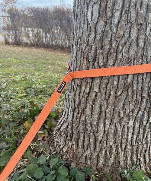 【SCHAT スハット】SWITTING COLOR LEASH-LONG（リード/ハーネス/首輪）｜BIRTHDAY BAR（バースデイバー）