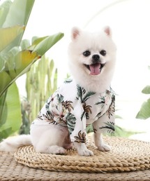 Ritomo De Ricco（リトモ・デ・リコ）の「わんちゃん達のアロハシャツ（ペットウェア）」