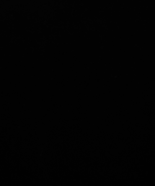 SALON adam et rope'（サロン アダム エ ロペ）の「トリアセベロアナロースカート / セットアップ対応（スカート・レディース・ベージュ/ブラック・FREE）」の22枚目の写真