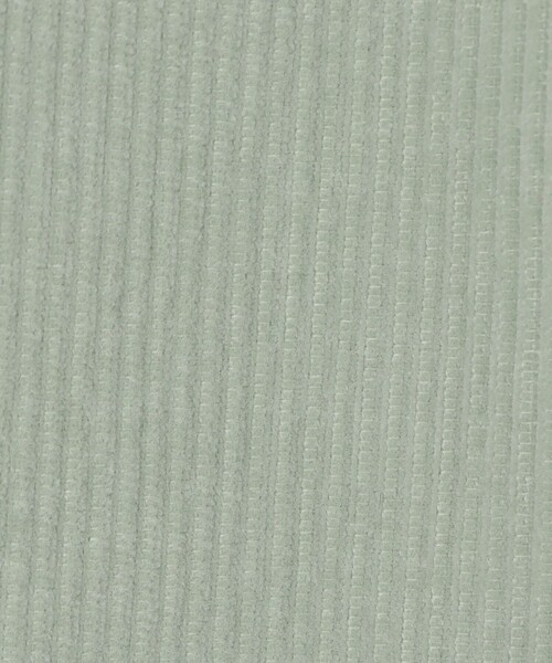 MACPHEE（マカフィー）の「コットンコーデュロイ タックストレートパンツ（その他パンツ・レディース・ネイビー/ライトグリーン/ホワイト・36/34/32）」の15枚目の写真