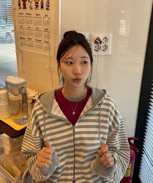 HAVISM(ヘビズム)の「MULTI STRIPE ZIP UP HOOD(GREY)(パーカー・レディース・その他・ONE SIZE)」の5枚目の写真