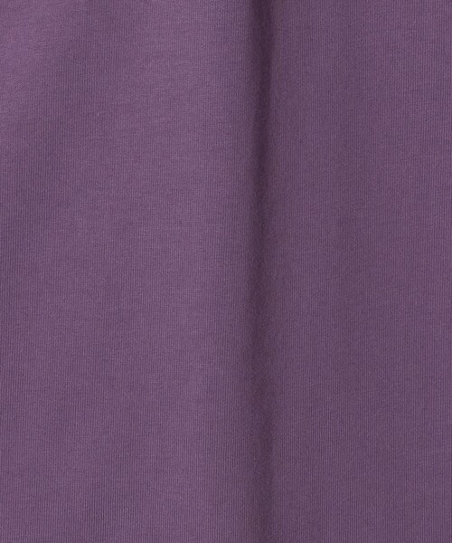 NICE WEATHER（ナイスウェザー）の「＜NICE WEATHER＞NICE ロゴ ロング スリーブTシャツ（Tシャツ/カットソー・メンズ・ブラック/パープル/ホワイト/ダークグレー・L/XS/M/S）」の19枚目の写真