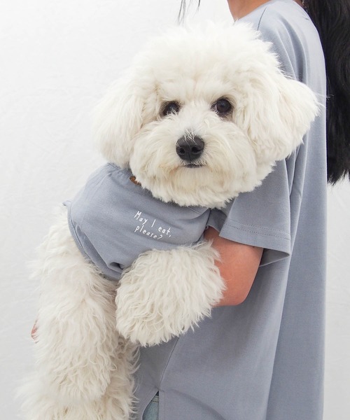AS KNOW AS plus（アズノゥアズプラス）の「●3匹ぽこぽこ刺繍アニマルＴシャツ　ワンちゃん服（ペットウェア・レディース・オフホワイト/ブルー/オートミール/スミクロ・S/M/L）」の12枚目の写真
