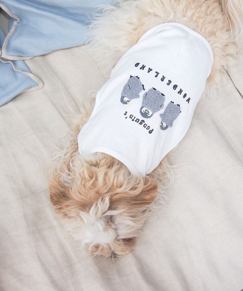 AS KNOW AS plus（アズノゥアズプラス）の「●3匹ぽこぽこ刺繍アニマルＴシャツ　ワンちゃん服（ペットウェア・レディース・オフホワイト/ブルー/オートミール/スミクロ・S/M/L）」の21枚目の写真