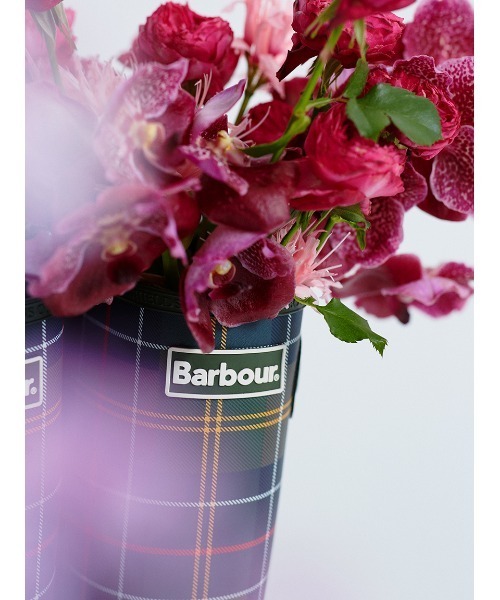 Barbour(バブアー)の「Bede タータンチェック レインブーツ(レディース)(レインシューズ・レディース・グリーン・5/4/6)」の9枚目の写真