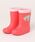 MoonStar�i���[���X�^�[�j�́u�yMoonStar�^���[���X�^�[�z�����v C66 �A���p���}�� �L�b�Y���C���u�[�c�i���C���V���[�Y�j�v�b�s���N