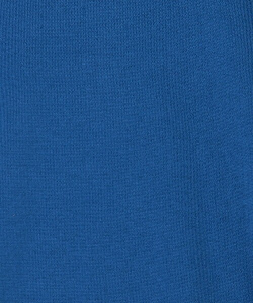 JOHN SMEDLEY(ジョンスメドレー)の「JOHN SMEDLEY KEMPTON コットン クルーネックニット(ニット/セーター・メンズ・レッド系その他/ブルー・M/S)」の10枚目の写真