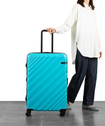 ACE(G[X)̃I[o2 90L/111L 7`10 5.3kg GLXph@\ oփLX^[ 05913(X[cP[X/L[obO)