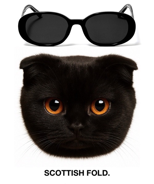 黒猫アイランド著　SP SP② 未使用 スタンラン フィギュア 黒猫 | hmm, by 東京都美術館ミュージアム