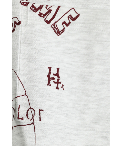 HORLISUN(ホーリーサン)の「Jameson Graphic Sweatshirt Melange Gray(スウェット・メンズ・その他・LARGE/SMALL/MEDIUM)」の5枚目の写真