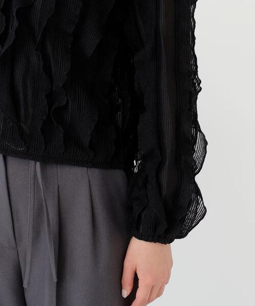 NATURAL BEAUTY BASIC(ナチュラルビューティーベーシック)の「シアーフリルプルオーバー(Tシャツ/カットソー・レディース・ブラック/オフホワイト・FREE)」の14枚目の写真