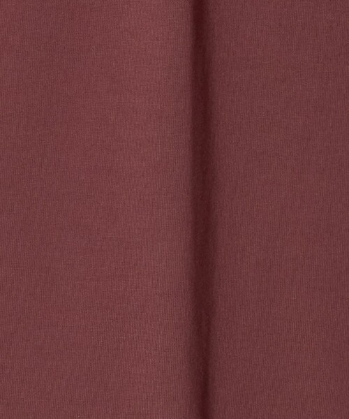 NICE WEATHER(ナイスウェザー)の「<NICE WEATHER>ロゴ ロングスリーブ Tシャツ(Tシャツ/カットソー・メンズ・ワイン/グレー系/ブラック/ホワイト・S/XS/M/L)」の20枚目の写真