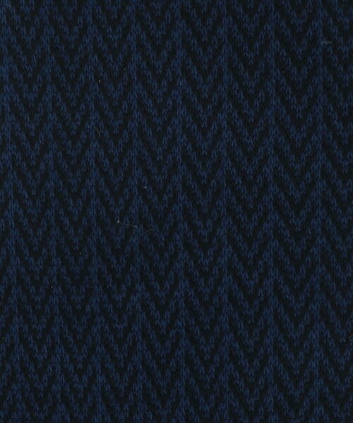green label relaxing(グリーンレーベルリラクシング)の「シルケット へリンボーン ドレスソックス(ソックス/靴下・メンズ・ネイビー/ダークブラウン/ブラック・FREE)」の8枚目の写真