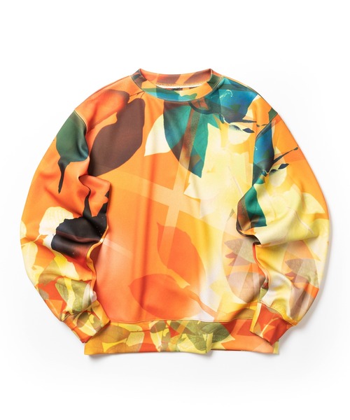 Wizzard（ウィザード）の「Wizzard ウィザード / PRINT PULLOVER プリントプルオーバースウェット / W24SS-DC020（スウェット・メンズ・ブルー/オレンジ/ナチュラル・2/1/3）」の3枚目の写真