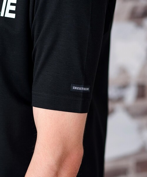 DRESSTERIOR(ドレステリア)の「◆【接触冷感/抗菌防臭/消臭】ICE CLEAR COTTON ロゴTシャツ(Tシャツ/カットソー・メンズ・ホワイト/ブラック/ダークブラウン・90/91/92/94)」の20枚目の写真