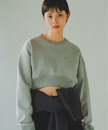 Dart Cropped Sweat