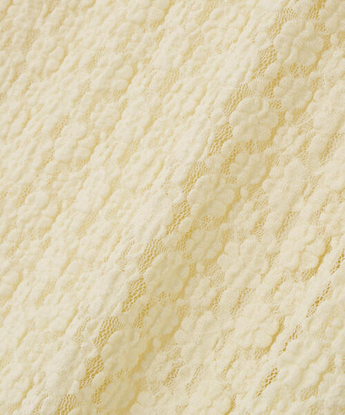 NATURAL BEAUTY BASIC（ナチュラルビューティーベーシック）の「◇レースフレアワンピース（ワンピース・レディース・オフホワイト/ダークブラウン・MEDIUM/P/S）」の5枚目の写真