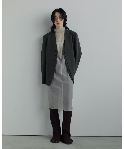 anuke（アンヌーク）の「anuke Sheer Turtle Onepiece（ワンピース・レディース・ライトグレー/ブラック・FREE）」の4枚目の写真