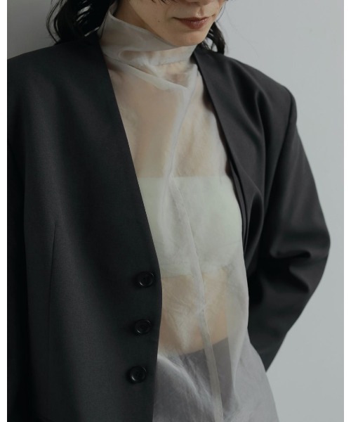 anuke（アンヌーク）の「anuke Sheer Turtle Onepiece（ワンピース・レディース・ライトグレー/ブラック・FREE）」の7枚目の写真