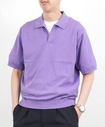 NOLLEY'S（ノーリーズ）の「ウォッシャブル 強撚シルクコットン 成型スキッパーニットポロ 26SS（ニット/セーター）」