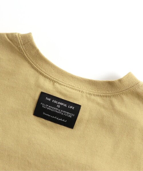 BREEZE(ブリーズ)の「6柄恐竜刺繍Tシャツ(Tシャツ/カットソー・キッズ・イエロー/レッド/チャコール/ブルー/ベージュ/カーキ・90/100/130/120/140/80/110)」の17枚目の写真