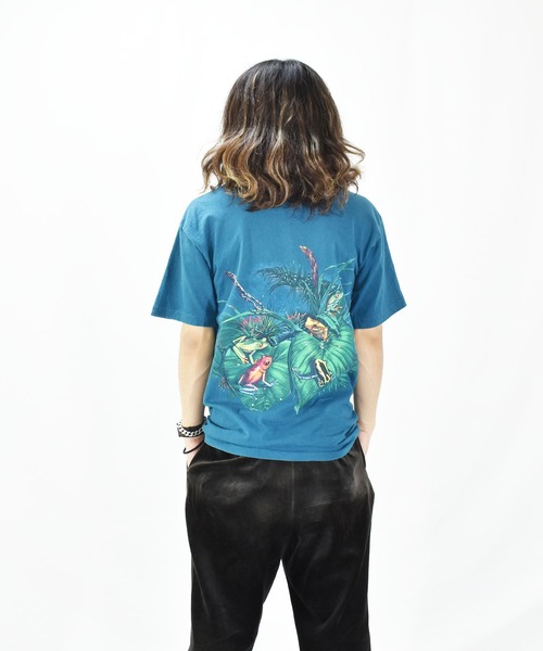 VINTAGE（ヴィンテージ）の「【ヴィンテージ古着】90's SIGNAL アニマルプリント カエル Tシャツ  USA製（Tシャツ/カットソー・メンズ・グリーン・MEDIUM）」の2枚目の写真