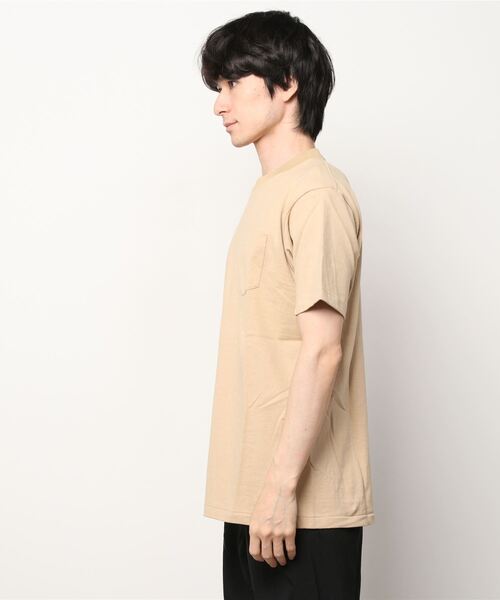 ANATOMICA / アナトミカ：POCKET TEE S/S made of USA yarn：530-541