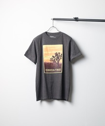 ★NATIONAL PARK★PT TEE