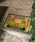 �`���C�n�l�i�`���C�n�l�j�́u�y�`���C�n�l�z�P�����R�C���[�}�b�g�i���O/�}�b�g�j�v�b���̑�5