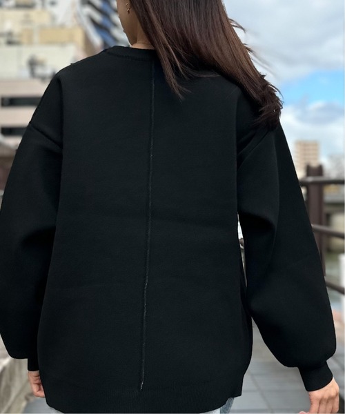 Per sist ence(パーシエンス)の「P100バイカラーロゴクルーネックプルオーバー(ニット/セーター・レディース・ブラック/アイボリー/グレー/ネイビー・FREE)」の11枚目の写真