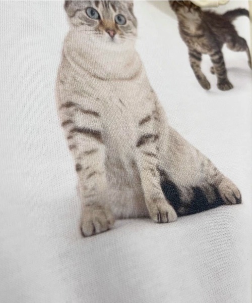 猫 猫さん Buy ZX 700 - B34330 | GOAT