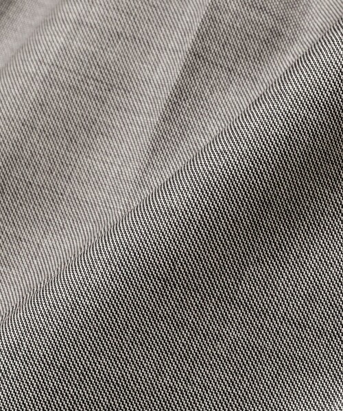 BEAMS F（ビームスエフ）の「【別注】PT TORINO / GENTLEMAN-F ウール シャークスキン 1プリーツ スラックス（その他パンツ・メンズ・グレー/チャコールグレー・46/48/50/44/52/42）」の10枚目の写真